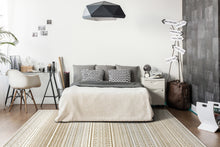 Load image into Gallery viewer, AVERY 2.7X5 6540-190 IVORY GREY