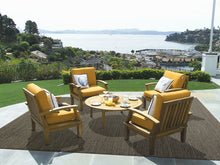 Load image into Gallery viewer, COASTAL 2.2X7 3851-710 GOLD/IVORY