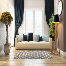 Load image into Gallery viewer, CRYSTAL 2.7X5 8520-109 Cream/Grey