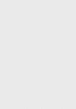 Load image into Gallery viewer, CRYSTAL 2.7X5 8520-109 Cream/Grey