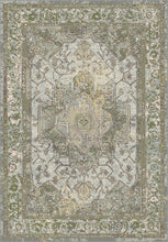 Load image into Gallery viewer, HORIZON 2.2X7.7 988465-5220 GREY/GOLD