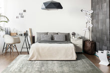 Load image into Gallery viewer, LEDA 2.2X7.7 9860-190 IVORY/GREY