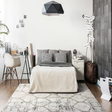 Load image into Gallery viewer, TROYA 3.11X5.7 4602-110 IVORY/GREY