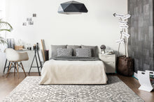 Load image into Gallery viewer, TROYA 3.11X5.7 4602-110 IVORY/GREY