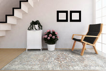 Load image into Gallery viewer, ZEN 2.2X7.7 8336-900 GREY/TAUPE